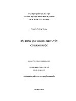 Luận văn bài toán quy hoạch phi tuyến có ràng buộc