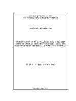 Luận văn nghiên cứu sử dụng xỉ than nhà máy nhiệt Điện mông dương làm chất nền trong hệ thống Đất ngập nước nhân tạo Để xử lý nước thải sinh hoạt
