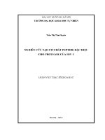 Luận văn nghiên cứu tạo cơ chất peptide Đặc hiệu cho protease của hiv 1
