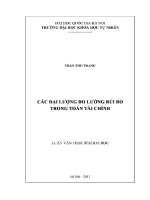 Luận văn các Đại lượng Đo lường rủi ro trong toán tài chính