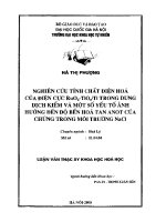 Luận văn nghiên cứu tính chất Điện hoá của Điện cực ruo2 tio2 ti trong dung dịch kiềm và một số yếu tố Ảnh hưởng Đến Độ bền hoà tan anot của chúng trong môi trường nacl