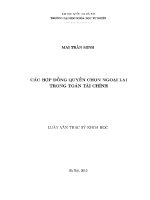 Luận văn các hợp Đồng quyền chọn ngoại lai trong toán tài chính