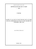 Luận văn nghiên cứu xác lập các thuộc tính Đặc trưng các kiểu mỏ ruby saphir trong Đá gneis của việt nam kiểu mỏ tân hương trúc lâu