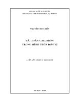Luận văn bài toán calderón trong hình tròn Đơn vị
