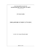 Luận văn Ánh xạ Đơn Điệu suy rộng và Ứng dụng