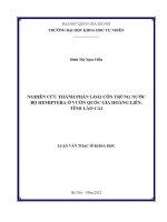 Luận văn nghiên cứu thành phần loài côn trùng nước bộ hemiptera Ở vườn quốc gia hoàng liên tỉnh lào cai