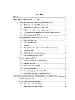 Luận văn nghiên cứu nồng Độ afp alpha feto protein và một số chỉ số hóa sinh trên bệnh nhân ung thư gan Đến khám tại bệnh viện hữu nghị