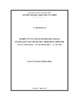 Luận văn nghiên cứu xây dựng mô hình quy hoạch sử dụng Đất gắn với chương trình nông thôn mới tại xã minh khai huyện hoài Đức tp hà nội