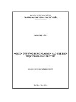 Luận văn nghiên cứu Ứng dụng nấm men vào chế biến thực phẩm giàu protein