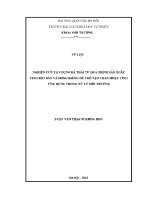 Luận văn nghiên cứu tận dụng bã thải từ quá trình sản xuất tinh bột sắn và dong riềng Để chế tạo than hoạt tính Ứng dụng trong xử lý môi trường