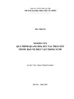Luận văn nghiên cứu quá trình quang hóa xúc tác phân hủy thuốc bảo vệ thực vật trong nước