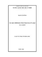 Luận văn các quá trình rã có sự tham gia của hạt tựa axion