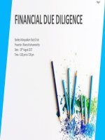 Financial due dilligence guide