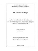 Những vấn đề pháp lý về thẩm định hồ sơ cấp tín dụng và thực tiễn áp dụng tại Ngân hàng TMCP Á Châu