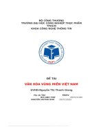 Văn hóa vùng miền việt nam