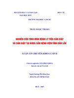 NGHIÊN CỨU TÌNH HÌNH BỆNH LÝ TIỀN SẢN GIẬT VÀ SẢN GIẬT TẠI KHOA SẢN BỆNH VIỆN TỈNH ĐẮK LẮK