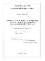 NGHIÊN cứu SỬ DỤNG HÊ ENZIM AMILAZA ĐỂ NÂNG CAO HIỆU QUẢ SẢN XUÂT GLUCOZA TINH THỂ TỪ BỘT SẮN nguyen chi thanh 2000 v l6 00019