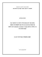 Luận văn thạc sĩ xác Định và phân tích họ gen mã hóa nhân tố phiên mã nuclear factor yb trên sắn manihot esculenta crantz bằng công cụ tin sinh học