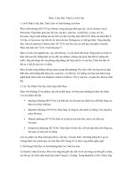 Plato cuộc Đời, triết lý và di sản