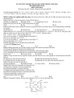 Đề 26.Docx