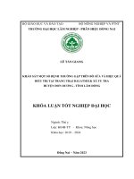 Khảo sát một số bệnh thường gặp tại một trang trại bò sữa và hiệu quả Điều trị