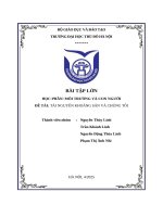 Bài tập lớn học phần môi trường và con người Đề tài tài nguyên khoáng sản và chúng tôi