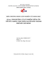 Đề tài Ảnh hưởng của Ô nhiễm tiếng Ồn tới sức khỏe tâm thần người dân thành phố hồ chí minh