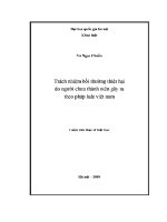 Luận văn trách nhiệm bồi thường thiệt hại do người chưa thành niên gây ra theo pháp luật việt nam