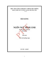 Giáo trình bài giảng ngôn ngữ hình Ảnh