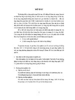 Nghiên cứu xây dựng công cụ Đo và phân nhóm lưu lượng mạng (tt)