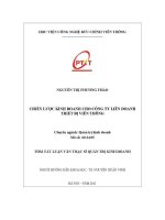 Chiến lược kinh doanh cho công ty liên doanh thiết bị viễn thông (tt)