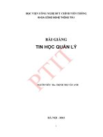 Giáo trình bài giảng tin học quản lý