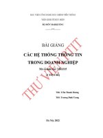 Bài giảng các hệ thống thông tin trong doanh nghiệp