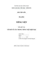 Đề tài vấn Đề về câu trong tiếng việt hiện Đại