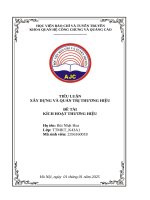 Tiểu luận xây dựng và quản trị thương hiệu Đề tài kích hoạt thương hiệu