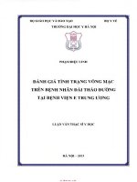 Đánh giá tình trạng võng mạc trên bệnh nhân Đái tháo Đường tại bệnh viện e tư