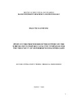 Luận Án tiến sĩ study on the loading procedures of the support on the substrates to prepare catalytic complexes for the treatment of motorbike's exhausted gases