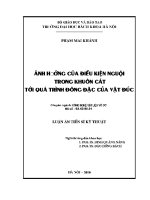 Luận Án tiến sĩ Ảnh hưởng của Điều kiện nguội trong khuôn cát tới quá trình Đông Đặc của vật Đúc