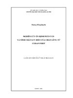 Luận Án tiến sĩ nghiên cứu Ổn Định phân tán và tính chất lưu biến của chất lỏng từ coban ferit