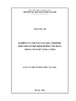 Luận Án tiến sĩ nghiên cứu chế tạo vật liệu composit oxit sắt các bon Định hướng Ứng dụng trong tích trữ năng lượng