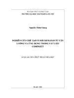 Luận Án tiến sĩ nghiên cứu chế tạo vi sợi xenlulo từ cây luồng và Ứng dụng trong vật liệu compozit