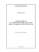 Luận Án tiến sĩ dáng Điệu tiệm cận của nghiệm phương trình navier stokes trên Đa tạp riemann với Độ cong ricci Âm