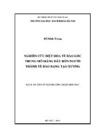 Luận Án tiến sĩ nghiên cứu biệt hóa tế bào gốc trung mô màng dây rốn người thành tế bào dạng tạo xương