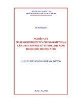 Luận Án tiến sĩ nghiên cứu sử dụng bentonit tuy phong bình thuận làm chất hấp phụ xử lý kim loại nặng trong môi trường nước