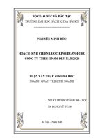 Luận văn thạc sĩ hoạch Định chiến lược kinh doanh cho công ty tnhh sinam Đến năm 2020