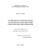Luận văn thạc sĩ các biện pháp quản trị rủi ro tín dụng tại chi nhánh ngân hàng nông nghiệp và phát triển nông thôn tỉnh hòa bình