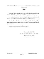 Luận văn thạc sĩ phân tích thực trạng và giải pháp Để cải thiện tình hình tài chính tại công ty cổ phần thương mại và dịch vụ hòa bình