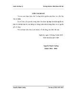 Luận văn thạc sĩ phân tích và Đề xuất một số giải pháp nâng cao chất lượng Đội ngũ cán bộ công chức hành chính nhà nước cấp tỉnh tỉnh nghệ an