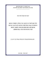 Luận văn thạc sĩ hoàn thiện công tác quản lý rủi ro tín dụng tại ngân hàng thương mại cổ phần phát triển thành phố hồ chí minh chi nhánh hà nộ