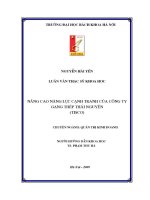 Luận văn thạc sĩ nâng cao năng lực cạnh tranh của công ty gang thép thái nguyên tisco